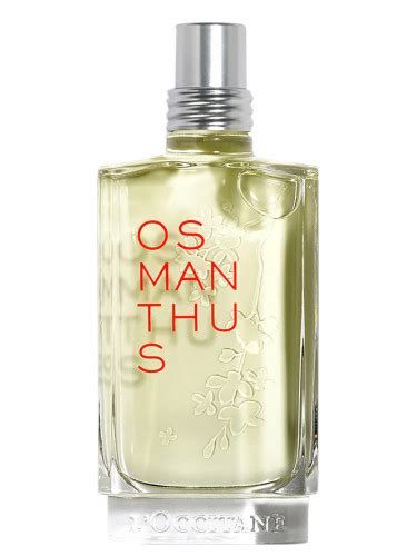 l'occitane osmanthus fragrantica